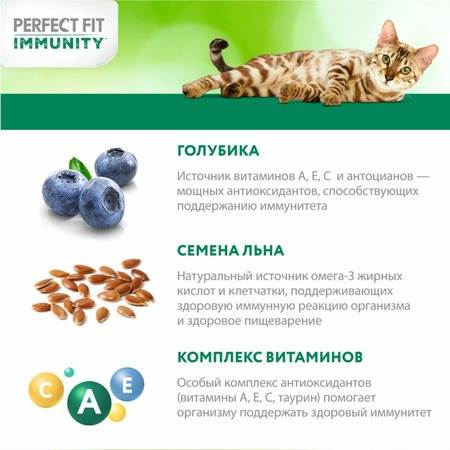 Perfect Fit Immunity сухой корм для поддержания иммунитета кошек, с говядиной и добавлением семян льна и голубики - 1,1 кг фото 5