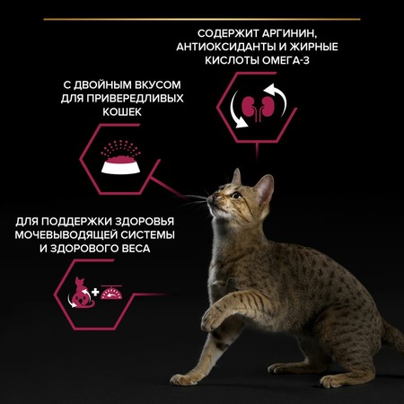 Pro Plan Sterilised сухой корм для стерилизованных кошек и кастрированных котов, с высоким содержанием трески и форелью фото 5
