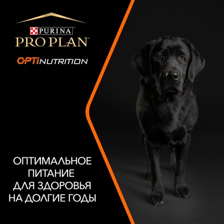 Pro Plan OptiBalance сухой корм для собак средних пород, с курицей - 3 кг фото 5