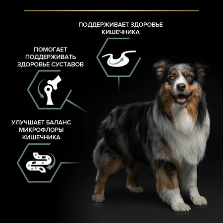 Сухой корм Pro Plan Opti Digest для взрослых собак cредних пород с чувствительным пищеварением с ягненком и рисом - 3 кг фото 5