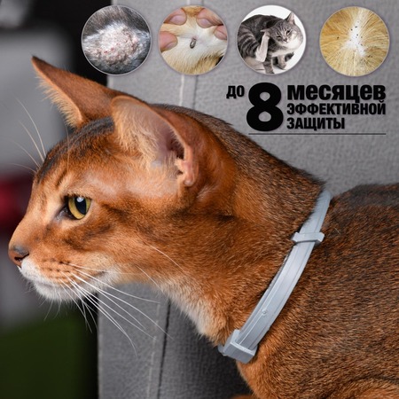 RolfClub 3D Ошейник для кошек от клещей, блох, вшей, власоедов 40 см фото 5