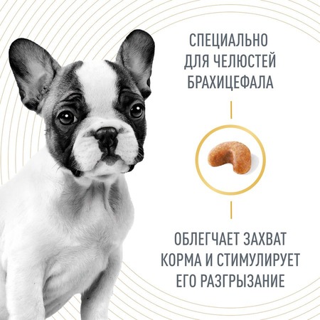 Royal Canin French Bulldog Puppy сухой корм для щенков породы французский бульдог в возрасте до 12 месяцев - 10 кг фото 5