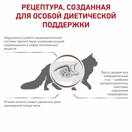 Royal Canin Gastrointestinal GI32 полнорационный сухой корм для взрослых кошек при острых расстройствах пищеварения, диетический фото 5