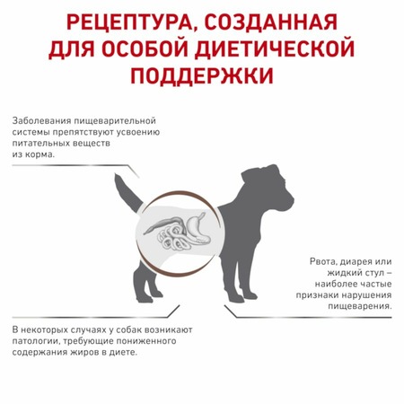 Royal Canin Gastrointestinal Low Fat Small Dog полнорационный сухой корм для взрослых собак мелких пород при нарушениях пищеварения, диетический - 1 кг фото 5