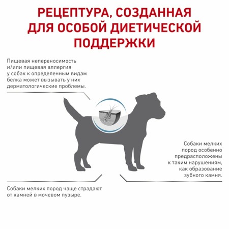 Royal Canin Hypoallergenic HSD 24 Small Dog полнорационный сухой корм для взрослых собак мелких пород при пищевой аллергии или непереносимости, диетический фото 5