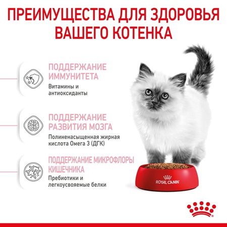 Royal Canin Kitten полнорационный сухой корм для котят в период третьей фазы роста до 12 месяцев фото 5