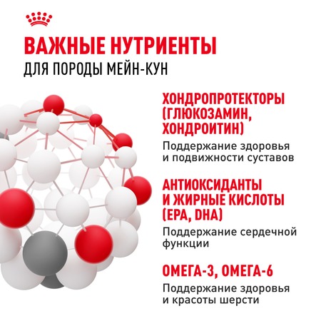 Royal Canin Maine Coon Adult полнорационный сухой корм для взрослых кошек породы мейн-кун старше 15 месяцев фото 5
