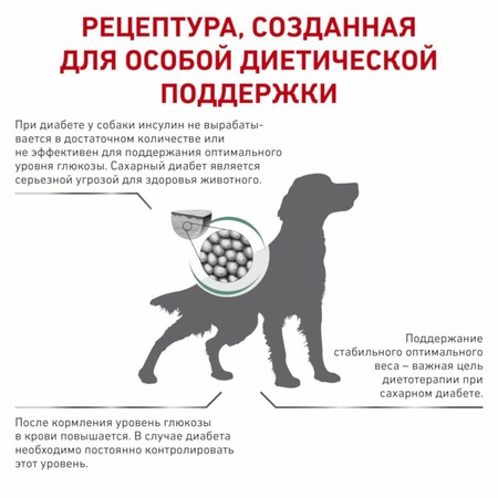 Royal Canin Diabetic Canine DS37 сухой корм для собак при ожирении 2 - й стадии или при сахарном диабете - 12 кг фото 5