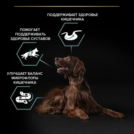 Pro Plan OptiDigest сухой корм для собак крупных пород с атлетическим телосложением с чувствительным пищеварением, с высоким содержанием ягненка фото 5