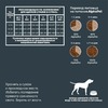 AlphaPet Superpremium сухой полнорационный корм для щенков, беременных и кормящих собак средних пород с говядиной и рисом - 900 г фото 6