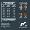 AlphaPet WOW Superpremium сухой полнорационный корм для взрослых собак крупных пород с говядиной и сердцем -  7 кг фото 6