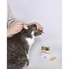 АВЗ Барс Форте капли инсектоакарицидные для кошек от блох, иксодовых и чесоточных клещей, вшей, власоедов - 3 пипетки фото 6