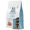 Brit Сare Dog Puppy&Junior L Healthy Growth сухой корм для щенков крупных пород, с индейкой и ягнёнком - 3 кг фото 6