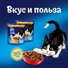 Felix Двойная вкуснятина полнорационный сухой корм для кошек, с птицей - 200 г фото 6
