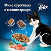 Felix Двойная вкуснятина полнорационный сухой корм для кошек, с рыбой - 200 г фото 6