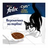Felix неполнорационный влажный корм для взрослых кошек, суп с сочными ломтиками ягненка, в паучах - 48 г х 36 шт фото 6