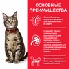 Сухой корм Hills Science Plan для взрослых кошек для поддержания жизненной энергии и иммунитета, с ягненком - 10 кг фото 6