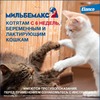 Elanco Мильбемакс таблетки от глистов для котят и молодых кошек (2 таблетки) фото 6