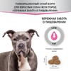 Мираторг Expert полнорационный сухой корм для взрослых собак, для заботы о пищеварении - 10 кг фото 6