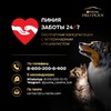 Pro Plan Sterilised сухой корм для пожилых стерилизованных кошек старше 7 лет, с высоким содержанием индейки - 3 кг фото 6