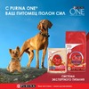 Purina ONE сухой корм для взрослых собак средних и крупных пород с высоким содержанием говядины и с рисом - 1,8 кг фото 6