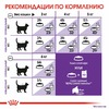 Royal Canin Sensible 33 полнорационный сухой корм для взрослых кошек с чувствительной пищеварительной системой - 2 кг фото 6