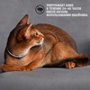 RolfClub 3D Ошейник для кошек от клещей, блох, вшей, власоедов 40 см фото 6