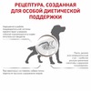 Royal Canin Gastrointestinal Low Fat полнорационный сухой корм для взрослых собак при нарушениях пищеварения и экзокринной недостаточности поджелудочной железы, диетический - 1,5 кг фото 6