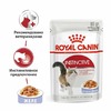 Royal Canin Instinctive полнорационный влажный корм для взрослых кошек, кусочки в желе, в паучах - 85 г фото 6