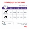 Royal Canin Neutered Adult полнорационный сухой корм для взрослых стерилизованных и кастрированных собак средних пород, диетический - 3,5 кг фото 6