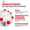 Royal Canin Pomeranian Adult полнорационный сухой корм для взрослых собак породы померанский шпиц старше 8 месяцев фото 6