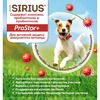 Sirius сухой корм для собак с повышенной активностью с индейкой, говядиной и лососем с овощами фото 6
