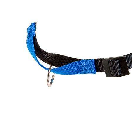 Ferplast Coach шлейка для собак, с кольцом спереди, синяя - L-XL (A:40-53 см, B:76-115 см, 25 мм) фото 6