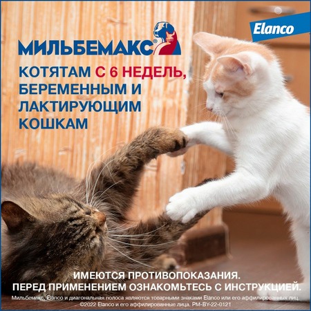 Elanco Мильбемакс таблетки от глистов для котят и молодых кошек (2 таблетки) фото 6