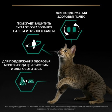 Pro Plan Sterilised сухой корм для стерилизованных кошек и кастрированных котов для поддержания здоровья почек, с высоким содержанием индейки фото 6