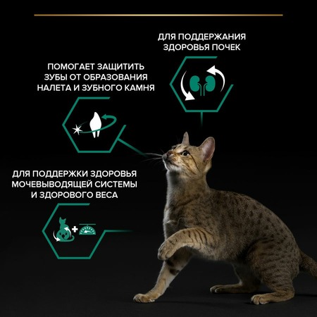 Pro Plan Sterilised сухой корм для стерилизованных кошек и кастрированных котов для поддержания органов чувств, с высоким содержанием лосося - 1,5 кг фото 6
