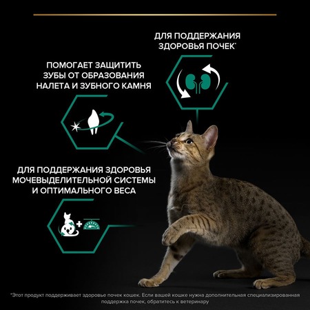 Pro Plan Sterilised Adult Renal Plus для стерилизованных кошек, с индейкой фото 6