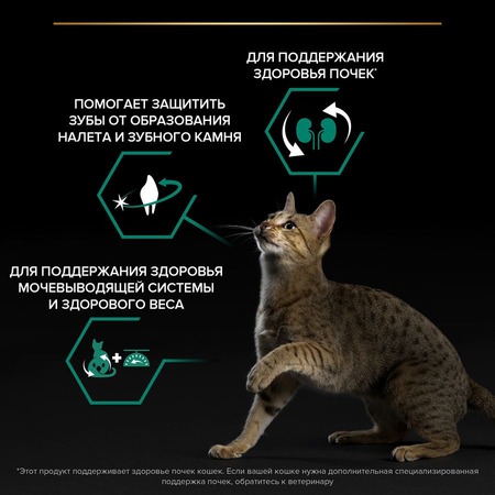 Pro Plan Sterilised Adult Renal Plus для стерилизованных кошек, с лососем - 10 кг фото 6