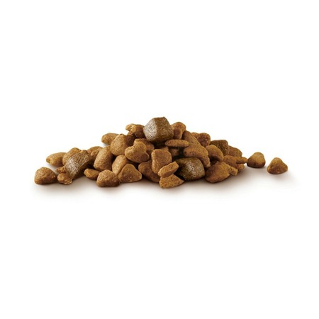 Purina ONE сухой корм для собак мелких и карликовых пород, при склоннности к набору веса, с индейкой и рисом фото 6