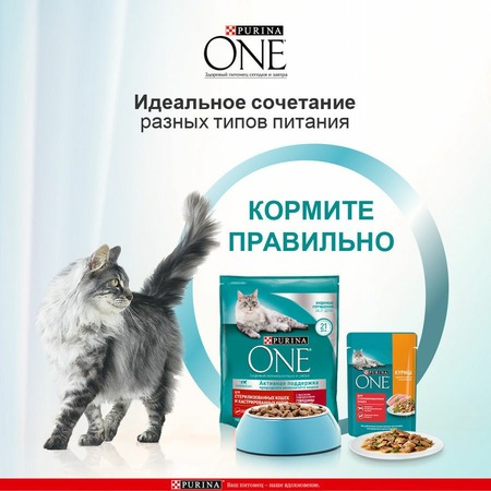 Purina ONE Природа Здоровья сухой корм для стерилизованных кошек и кастрированных котов, с высоким содержанием говядины фото 6
