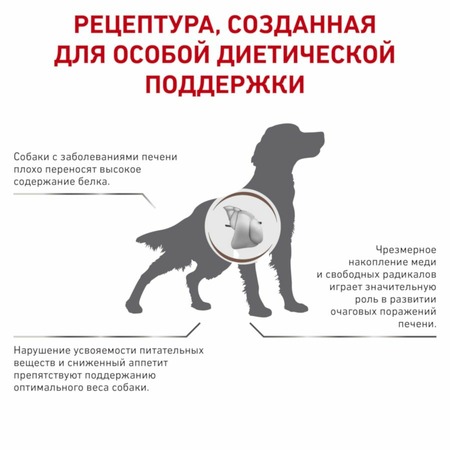 Royal Canin Hepatic HF16 полнорационный сухой корм для взрослых собак для поддержания функции печени при хронической печеночной недостаточности, диетический фото 6