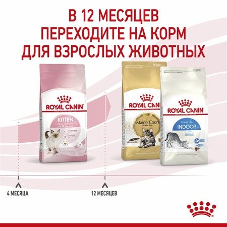 Royal Canin Kitten полнорационный сухой корм для котят в период третьей фазы роста до 12 месяцев - 1,2 кг фото 6