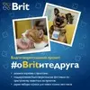 Brit Premium by Nature полнорационный влажный корм для собак, фарш из мясного ассорти с потрошками, в консервах - 410 г фото 7