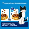 Felix Мясное объедение полнорационный сухой корм для кошек, с говядиной - 600 г фото 7