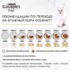 Влажный корм Gourmet А-ля Карт для кошек, с птицей а-ля Провансаль, баклажаном и цукини - 85 г фото 7