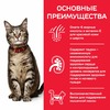 Сухой корм Hills Science Plan для взрослых кошек для поддержания жизненной энергии и иммунитета, с уткой - 1,5 кг фото 7