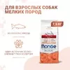 Monge Dog Speciality Line Monoprotein Mini полнорационный сухой корм для собак мелких пород, с лососем и рисом фото 7