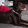 RolfClub 3D Ошейник для крупных собак от клещей, блох, вшей, власоедов 75 см фото 7