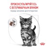 Royal Canin Gastrointestinal Kitten сухой диетический корм для котят от 2 до 10 месяцев, при нарушениях пищеварения - 2 кг фото 7