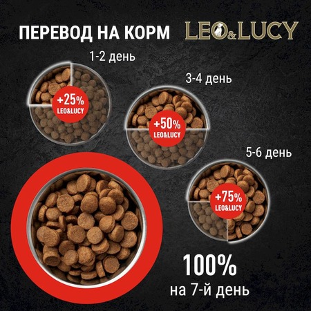 Leo&Lucy сухой полнорационный корм для собак крупных пород, с ягненком, яблоком и биодобавкам - 4,5 кг фото 7